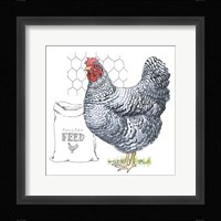 Fun at the Coop III v2 Framed Print
