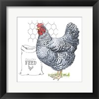 Fun at the Coop III v2 Framed Print
