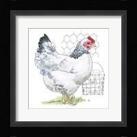 Fun at the Coop IV v2 Framed Print