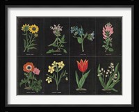 Botanical on Black Chart I Framed Print