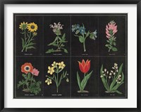 Botanical on Black Chart I Framed Print