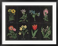 Botanical on Black Chart I Framed Print