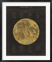 Astronomical Chart I Framed Print