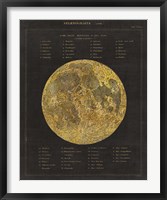 Astronomical Chart I Fine Art Print