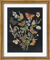 Butterfly Bouquet on Black I Fine Art Print