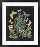 Butterfly Bouquet on Black II Framed Print