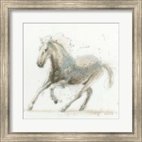 Stallion II Fine Art Print