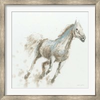 Stallion I Fine Art Print