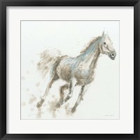 Stallion I Framed Print