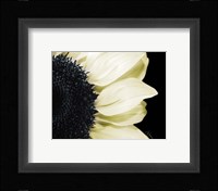Splashes of Blonde Framed Print