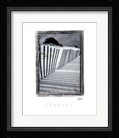Shadows Fine Art Print