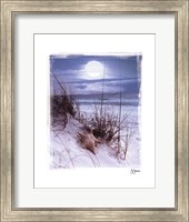 Moonlight Fine Art Print