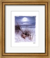 Moonlight Fine Art Print