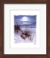 Moonlight Fine Art Print