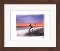 Dusk Fine Art Print