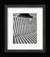 I.R. Fla Fence 2 Fine Art Print