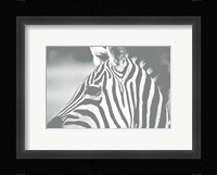 Natural Harmony Fine Art Print