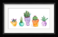 Succulent Display II Framed Print