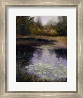 Oregon Water Lilies Fine Art Print