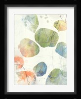 Color Motion III Fine Art Print