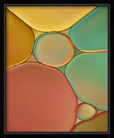 Red Yellow and Green Drops Fine Art Print