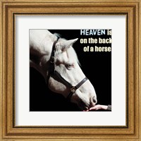 Horse Quote 9 Fine Art Print