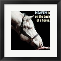 Horse Quote 9 Fine Art Print