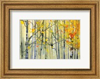 Autumn Birches Fine Art Print