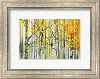 Autumn Birches Fine Art Print