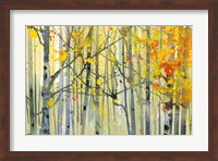 Autumn Birches Fine Art Print