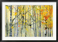 Autumn Birches Fine Art Print