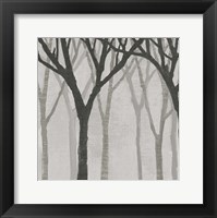 Spring Trees Greystone I Fine Art Print