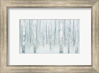 Birches in Winter Blue Gray Fine Art Print