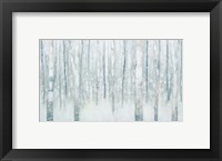Birches in Winter Blue Gray Fine Art Print
