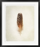 Feather I Fine Art Print