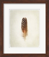 Feather I Fine Art Print