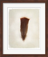 Feather III Fine Art Print