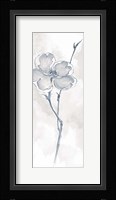 Solitary Dogwood II Gray Fine Art Print