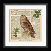 Lodge Collage I Framed Print