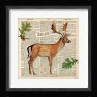 Lodge Collage III Framed Print