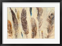 Feather Study Fine Art Print