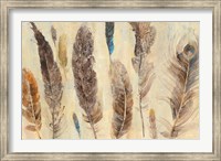 Feather Study Fine Art Print