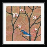 Cherry Blossoms I Framed Print