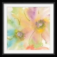 Rainbow Cosmos II Framed Print