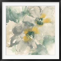 Silver Quince I Framed Print