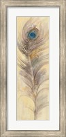 Blue Eyed Feathers III Fine Art Print
