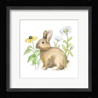 Wildflower Bunnies II Sq Fine Art Print