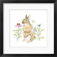 Wildflower Bunnies IV Framed Print