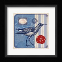 Sea Bird I Fine Art Print
