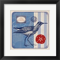 Sea Bird I Framed Print
